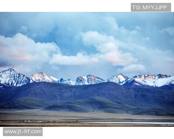 探索阿拉巴的历史文化与自然风光之旅，感受独特魅力与人文底蕴